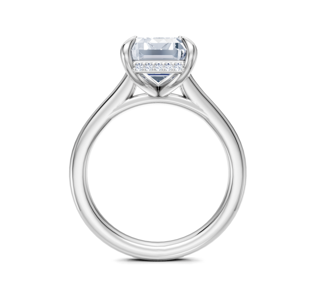 Image for Cathedral Hidden Halo Engagement Ring | 18k White Gold