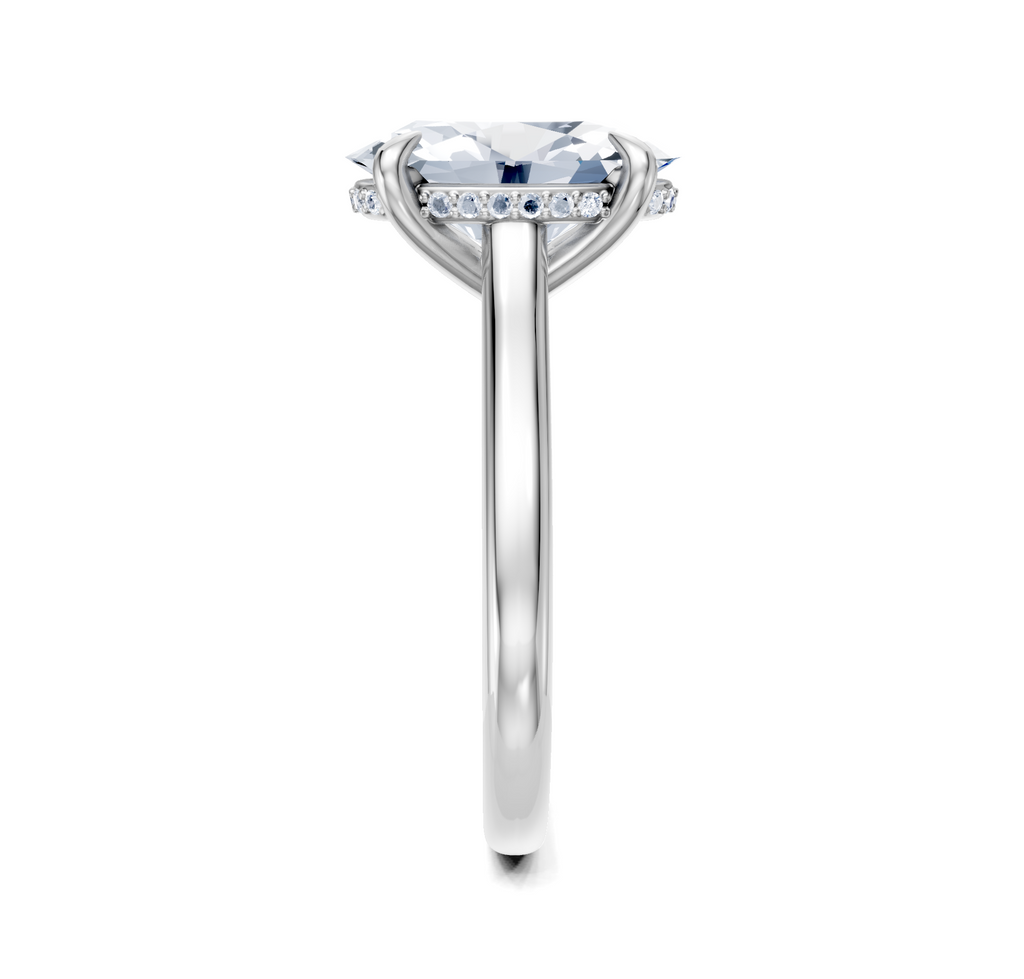Image for Cathedral Hidden Halo Engagement Ring | Platinum