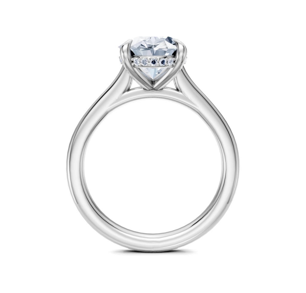 Image for Cathedral Hidden Halo Engagement Ring | Platinum