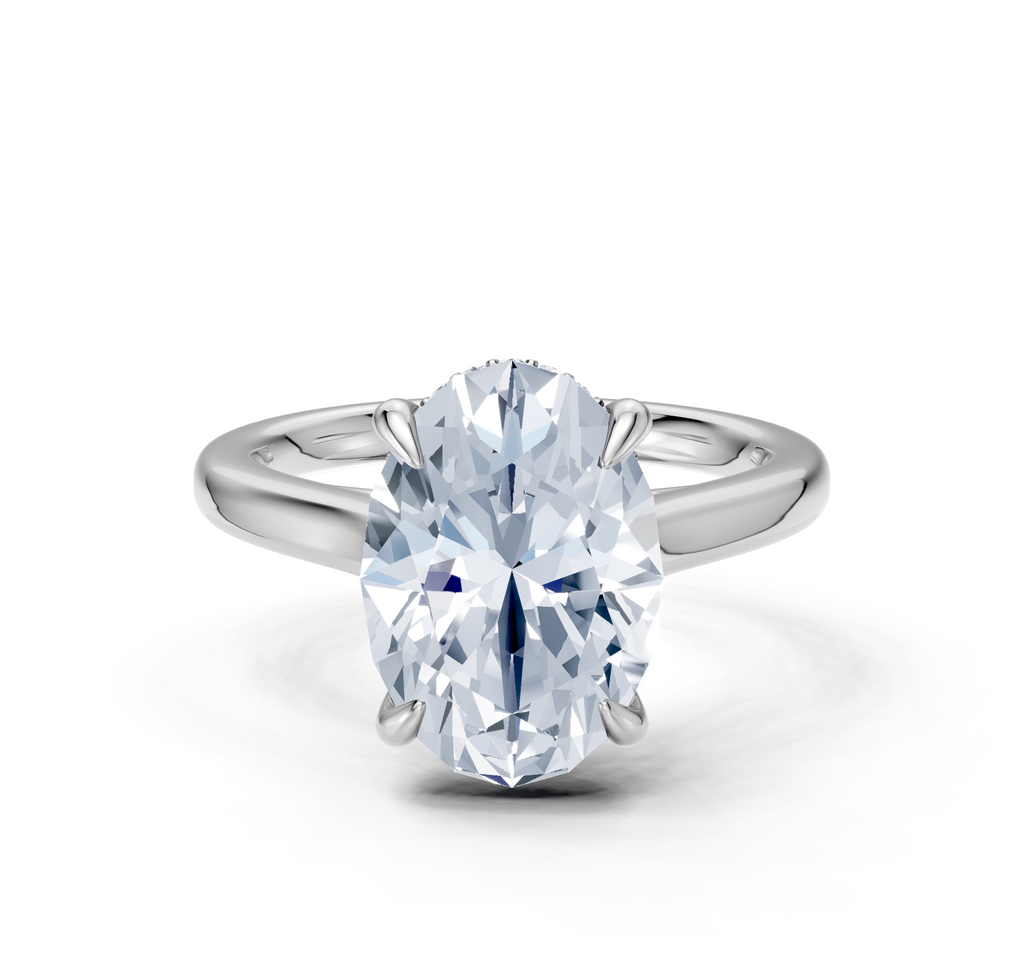 Image for Cathedral Hidden Halo Engagement Ring | Platinum
