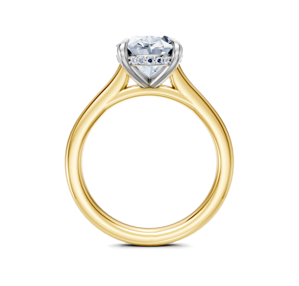 Image for Cathedral Hidden Halo Engagement Ring | 18k Two Tone