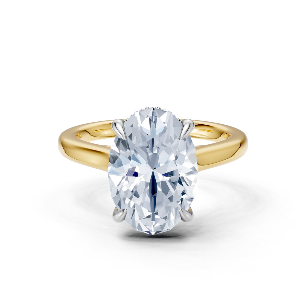 Image for Cathedral Hidden Halo Engagement Ring | 18k Two Tone