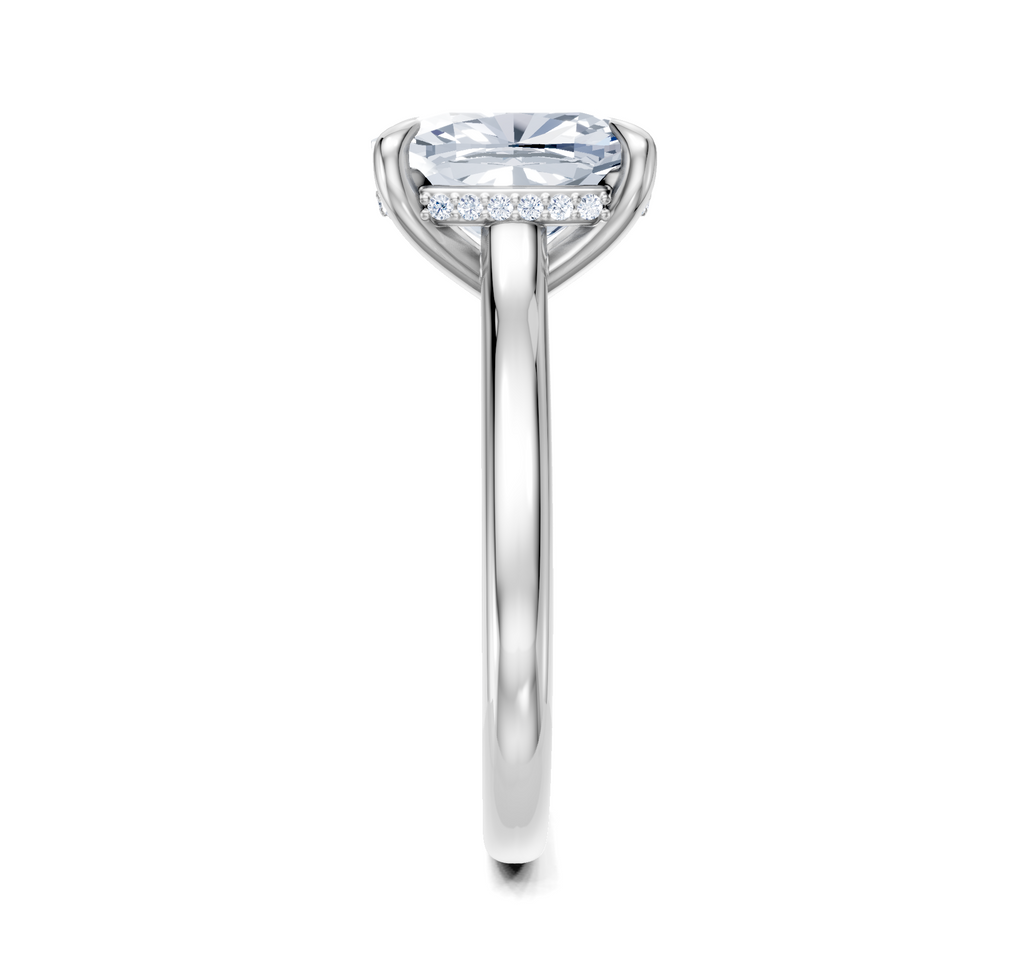 Image for Cathedral Hidden Halo Engagement Ring | Platinum