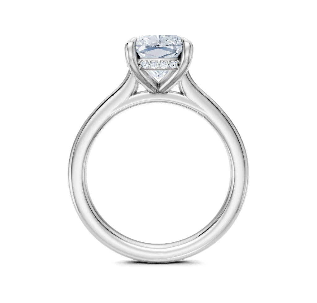 Image for Cathedral Hidden Halo Engagement Ring | 18k White Gold