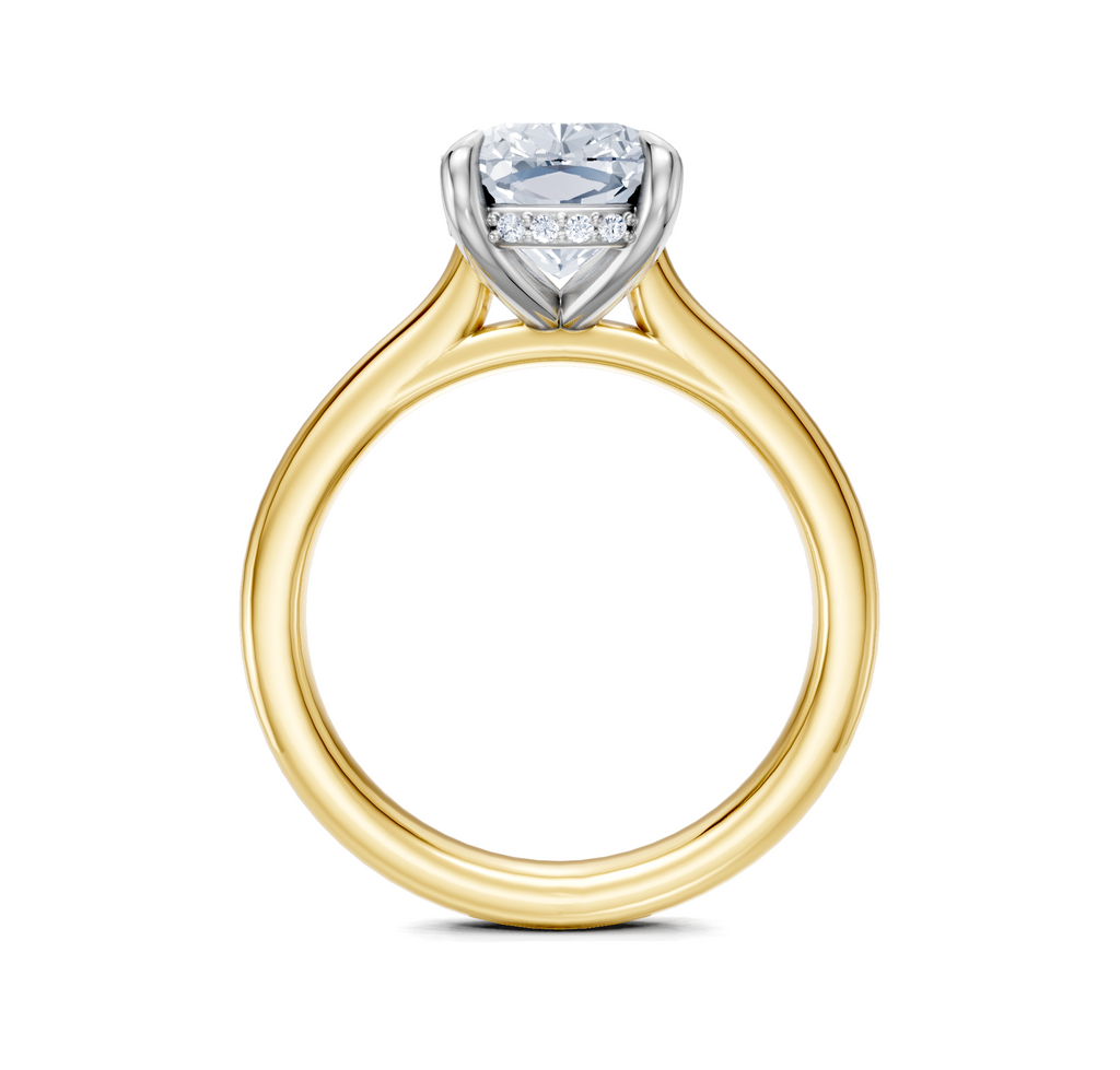 Image for Cathedral Hidden Halo Engagement Ring | 18k Two Tone