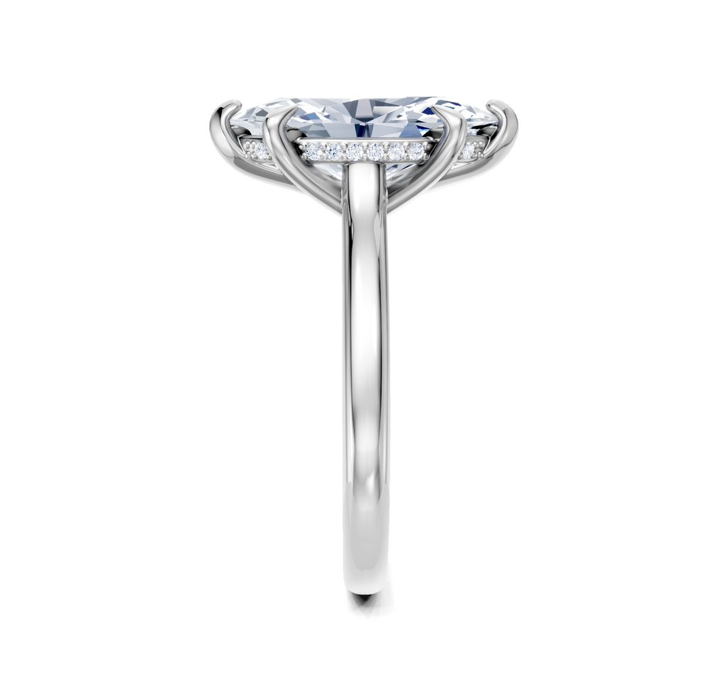 Image for Cathedral Hidden Halo Engagement Ring | Platinum