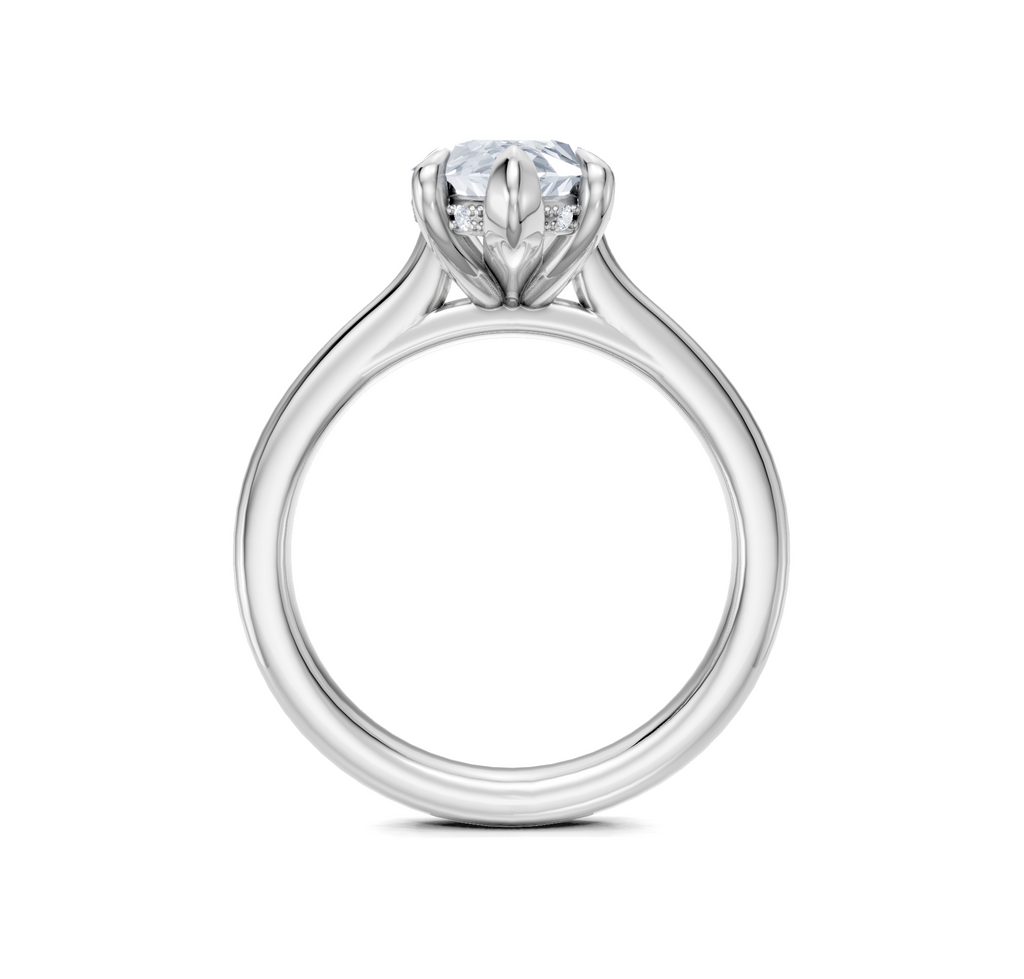 Image for Cathedral Hidden Halo Engagement Ring | 18k White Gold