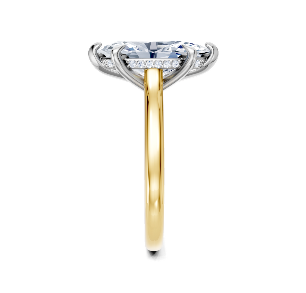 Image for Cathedral Hidden Halo Engagement Ring | 18k Two Tone