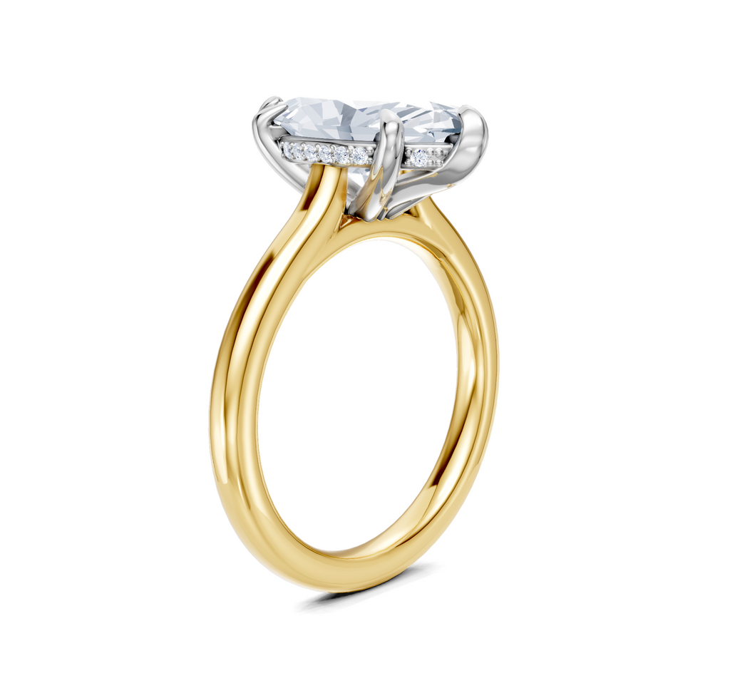 Image for Cathedral Hidden Halo Engagement Ring | 18k Two Tone