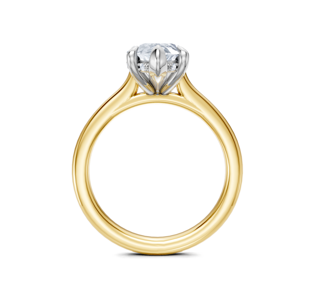 Image for Cathedral Hidden Halo Engagement Ring | 18k Two Tone