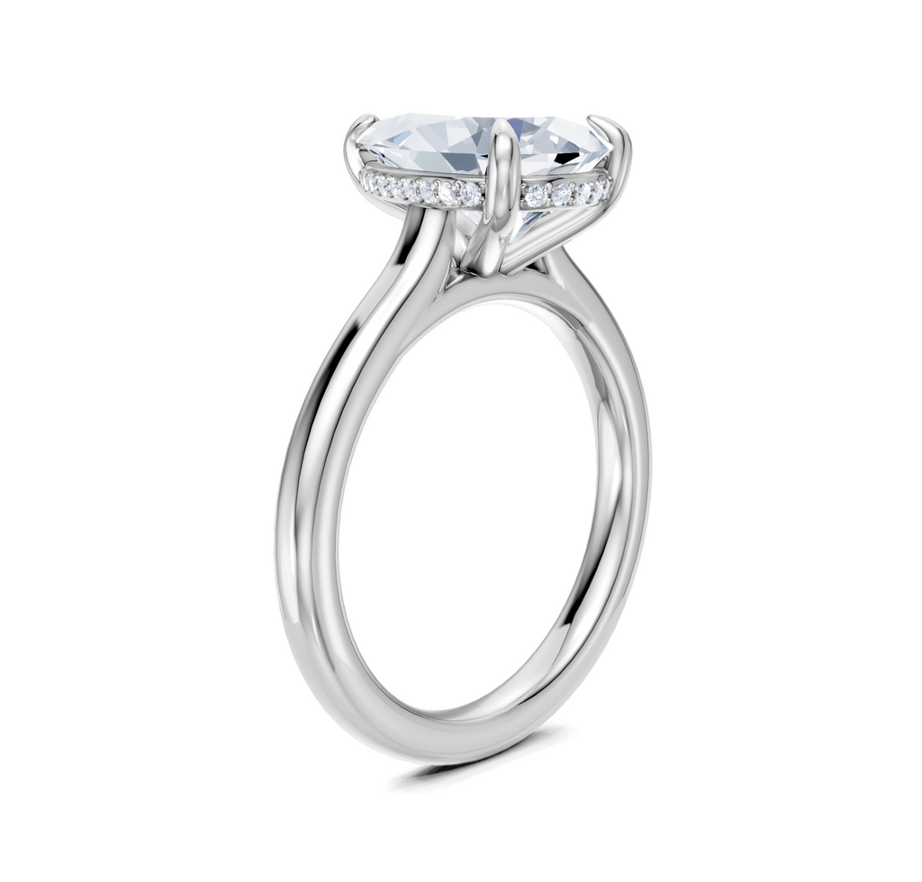 Image for Cathedral Hidden Halo Engagement Ring | Platinum
