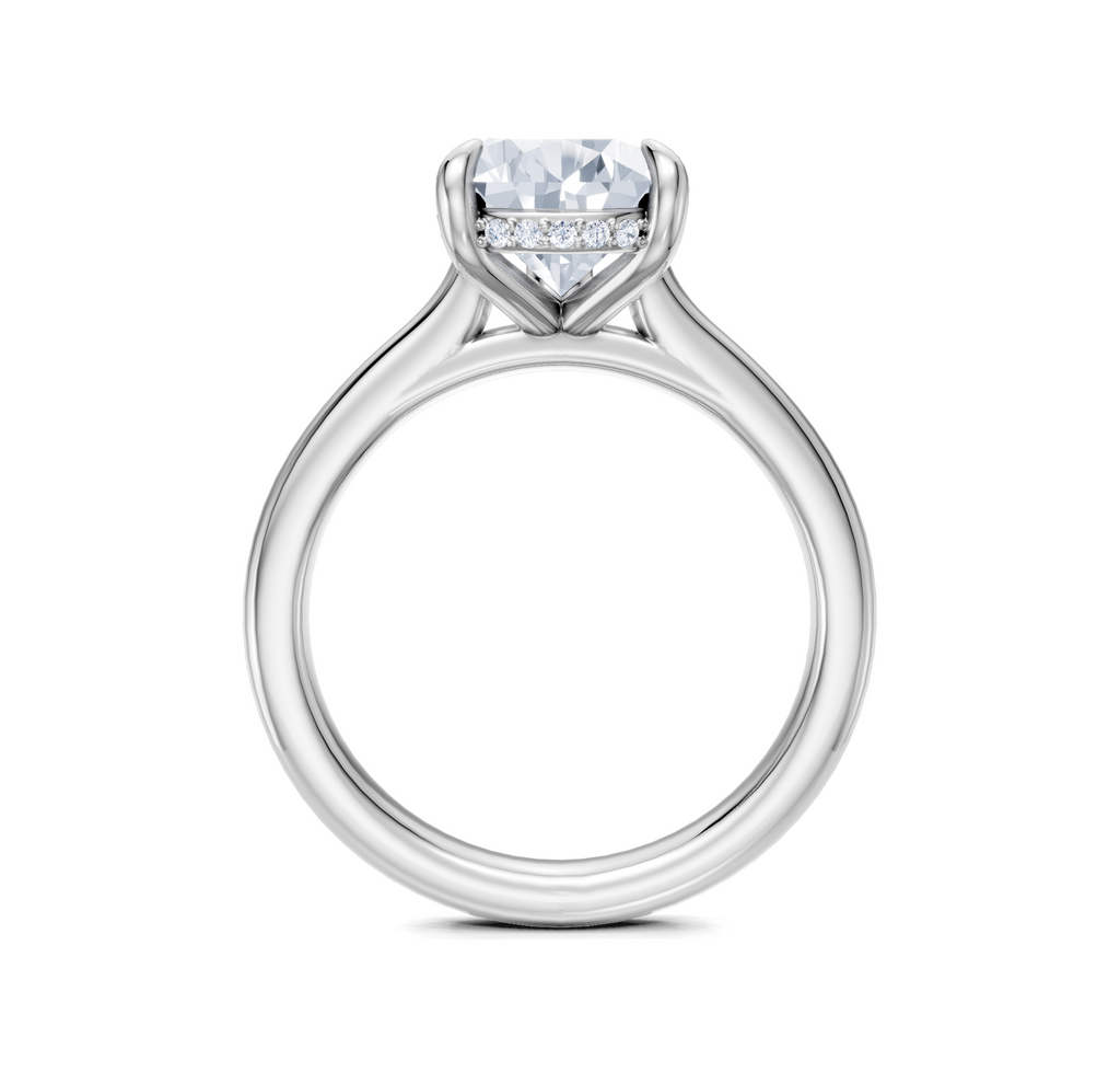 Image for Cathedral Hidden Halo Engagement Ring | 18k White Gold