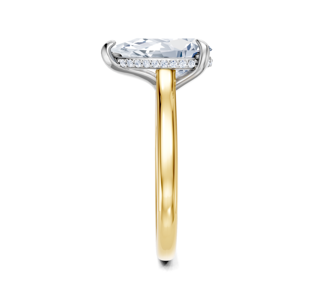 Image for Cathedral Hidden Halo Engagement Ring | 18k Two Tone