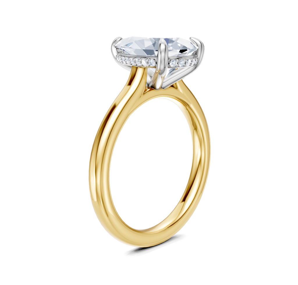 Image for Cathedral Hidden Halo Engagement Ring | 18k Two Tone