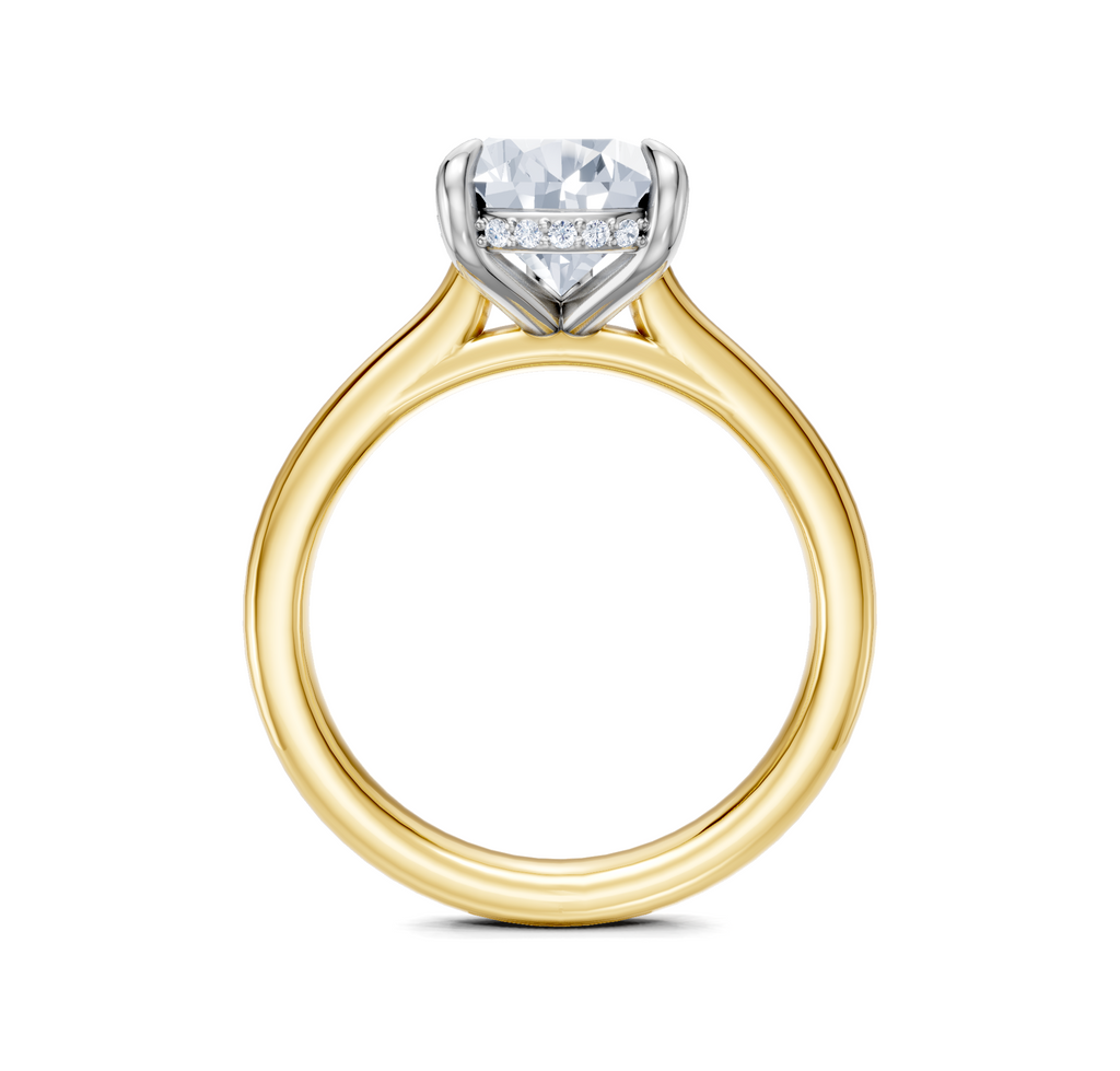 Image for Cathedral Hidden Halo Engagement Ring | 18k Two Tone
