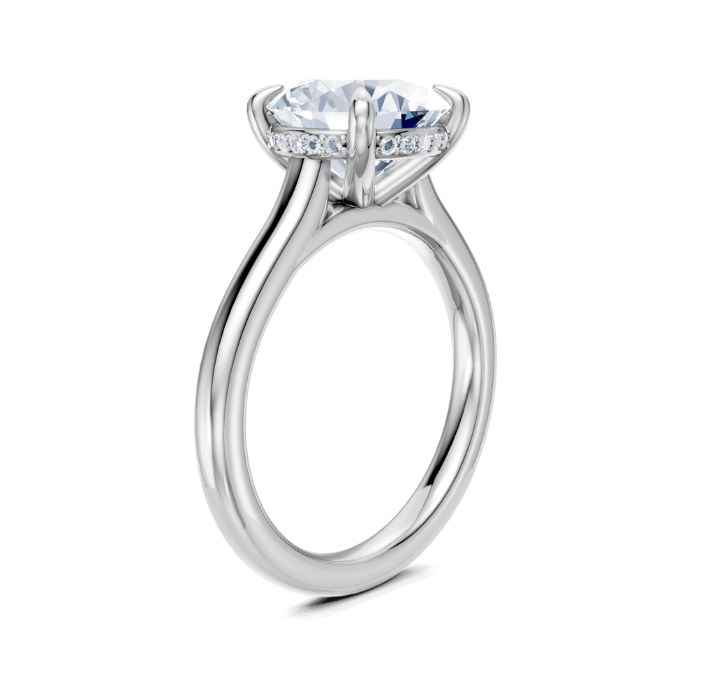 Image for Cathedral Hidden Halo Engagement Ring | 18k White Gold