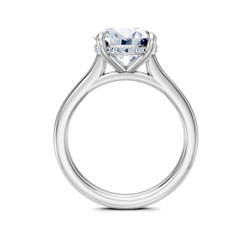 Image for Cathedral Hidden Halo Engagement Ring | 18k White Gold