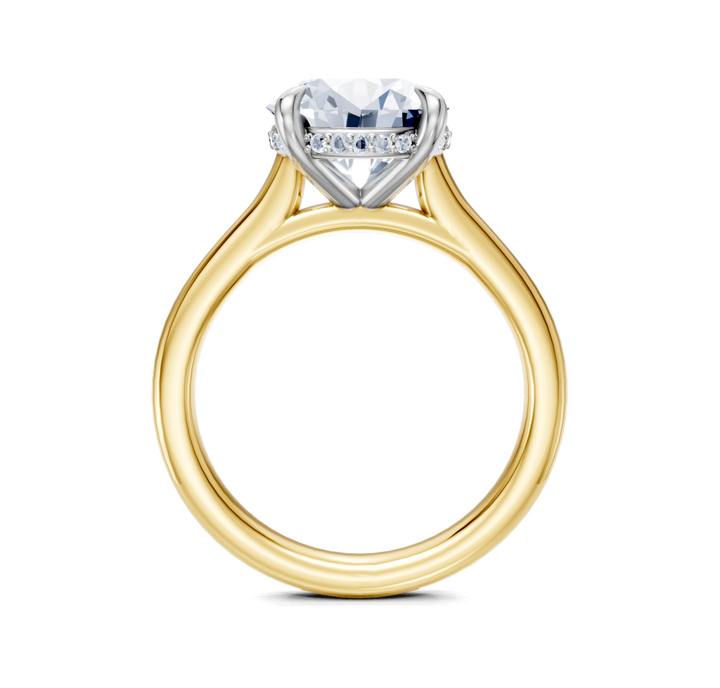 Image for Cathedral Hidden Halo Engagement Ring | 18k Two Tone