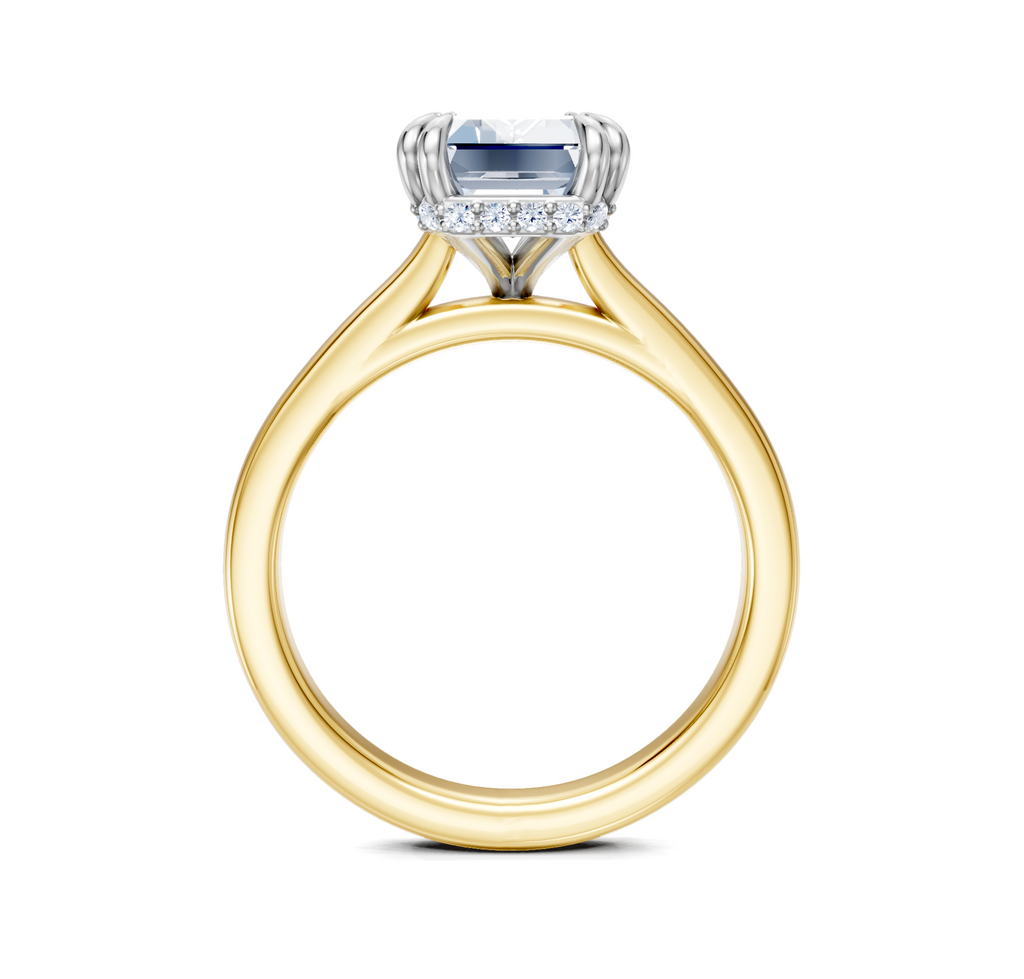 Image for Double Claw Hidden Halo | 14k Two Tone