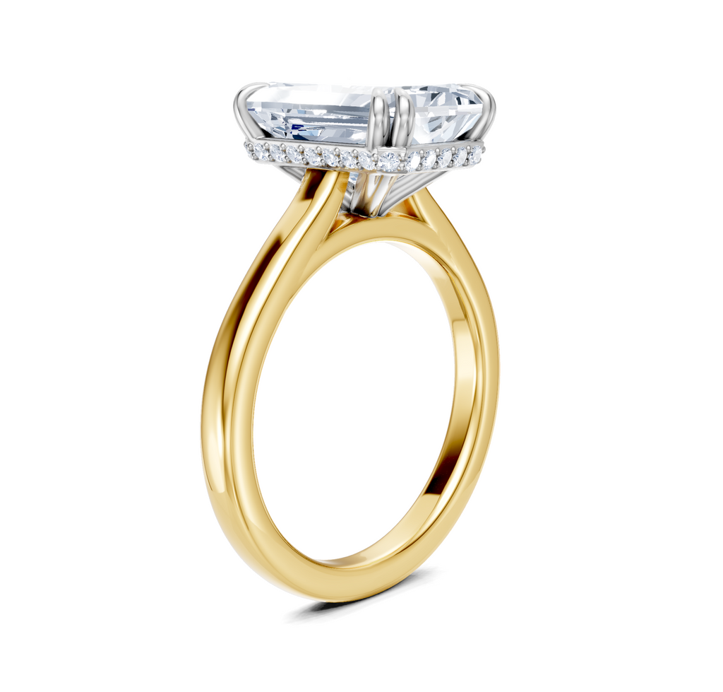Image for Double Claw Hidden Halo | 18k Two Tone