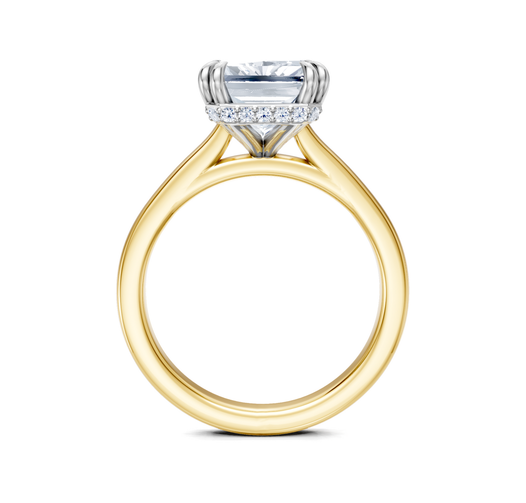 Image for Double Claw Hidden Halo | 18k Two Tone