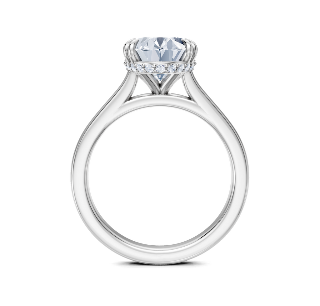 Image for Double Claw Hidden Halo | Platinum