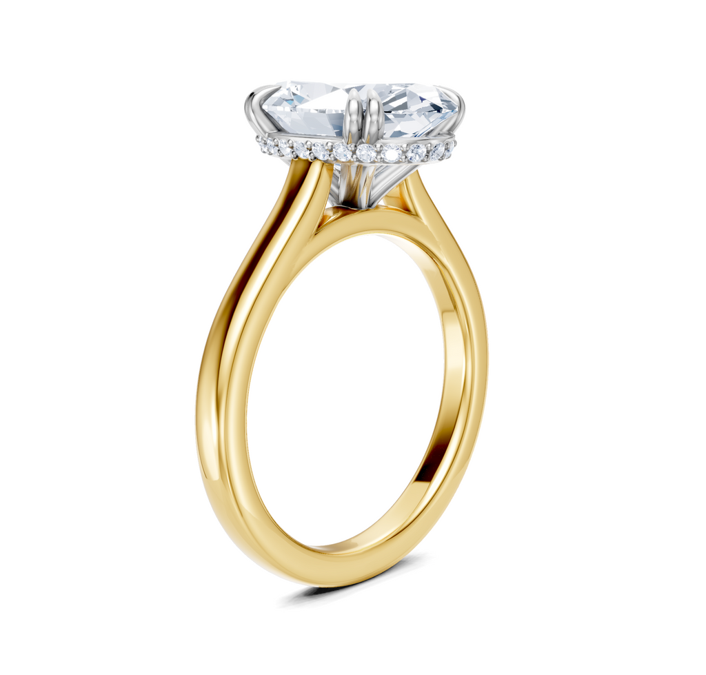 Image for Double Claw Hidden Halo | 18k Two Tone