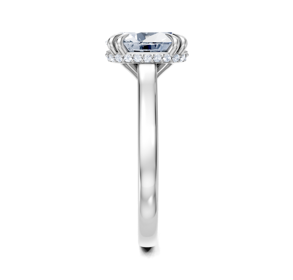 Image for Double Claw Hidden Halo | Platinum