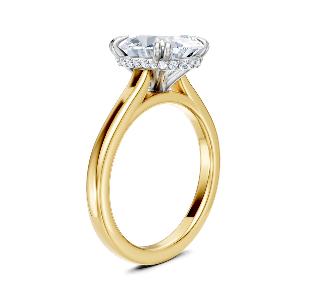 Image for Double Claw Hidden Halo | 18k Two Tone