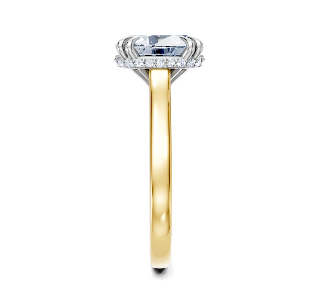 Image for Double Claw Hidden Halo | 18k Two Tone
