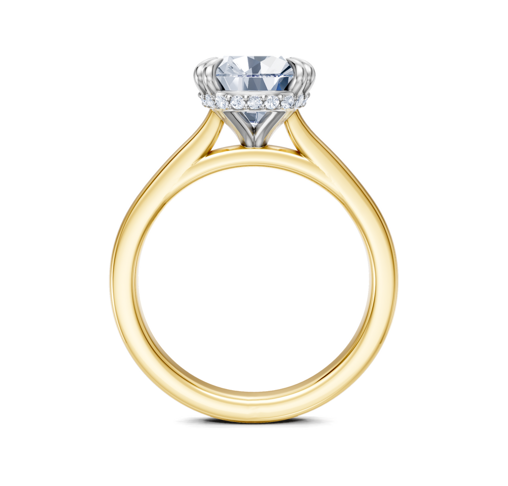 Image for Double Claw Hidden Halo | 18k Two Tone