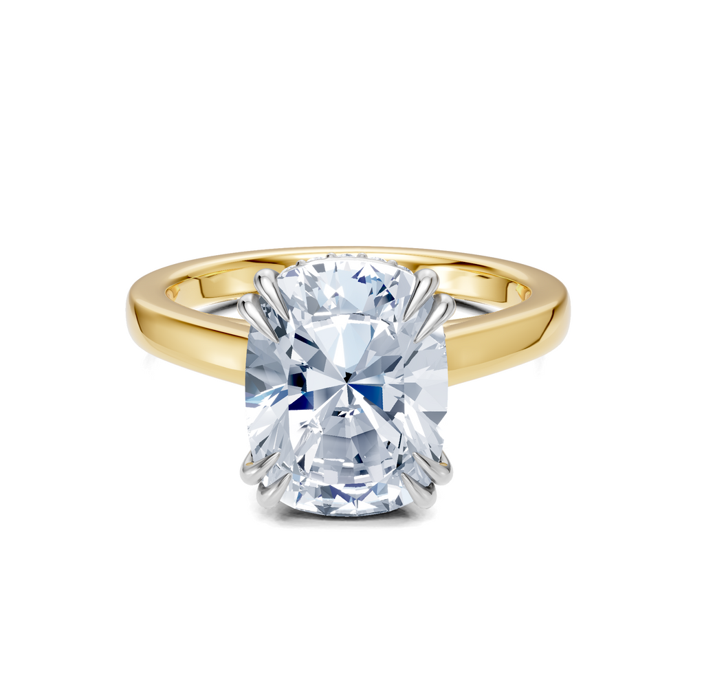 Image for Double Claw Hidden Halo | 18k Two Tone
