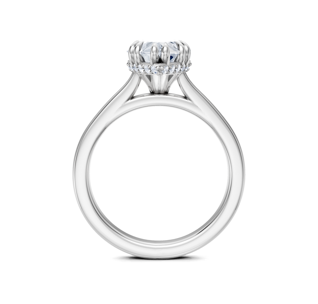 Image for Double Claw Hidden Halo | 14k White Gold