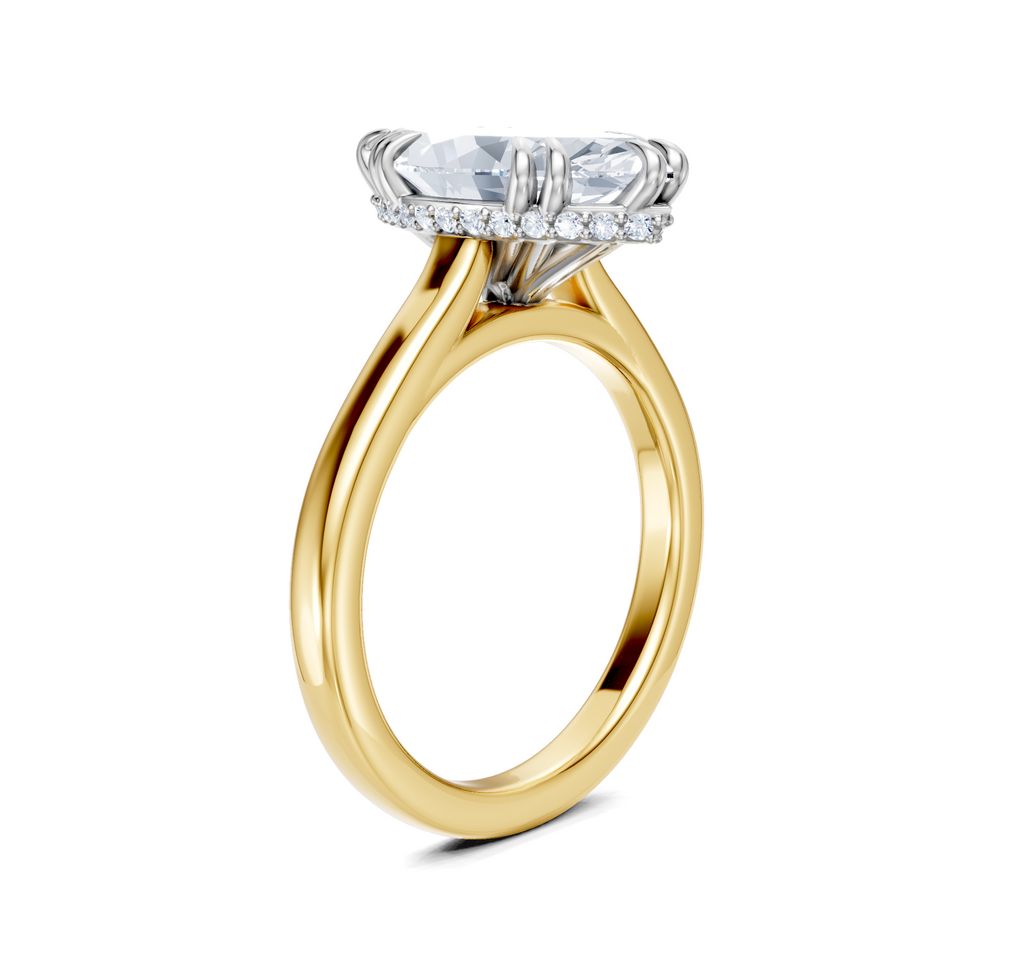Image for Double Claw Hidden Halo | 14k Two Tone