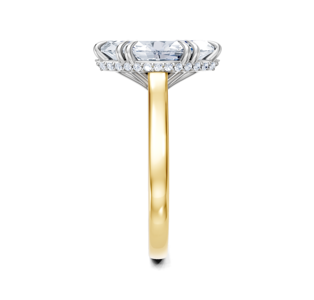 Image for Double Claw Hidden Halo | 18k Two Tone