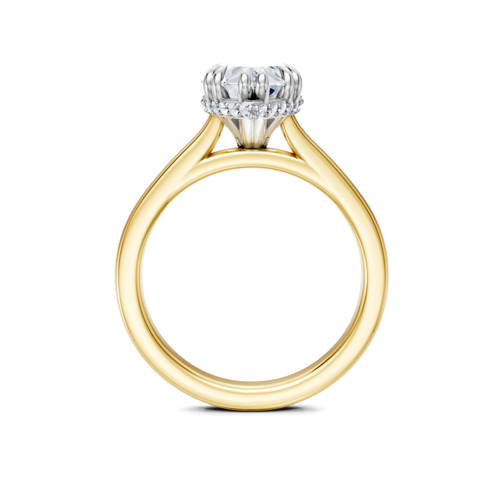 Image for Double Claw Hidden Halo | 14k Two Tone