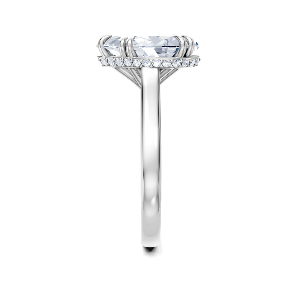 Image for Double Claw Hidden Halo | Platinum