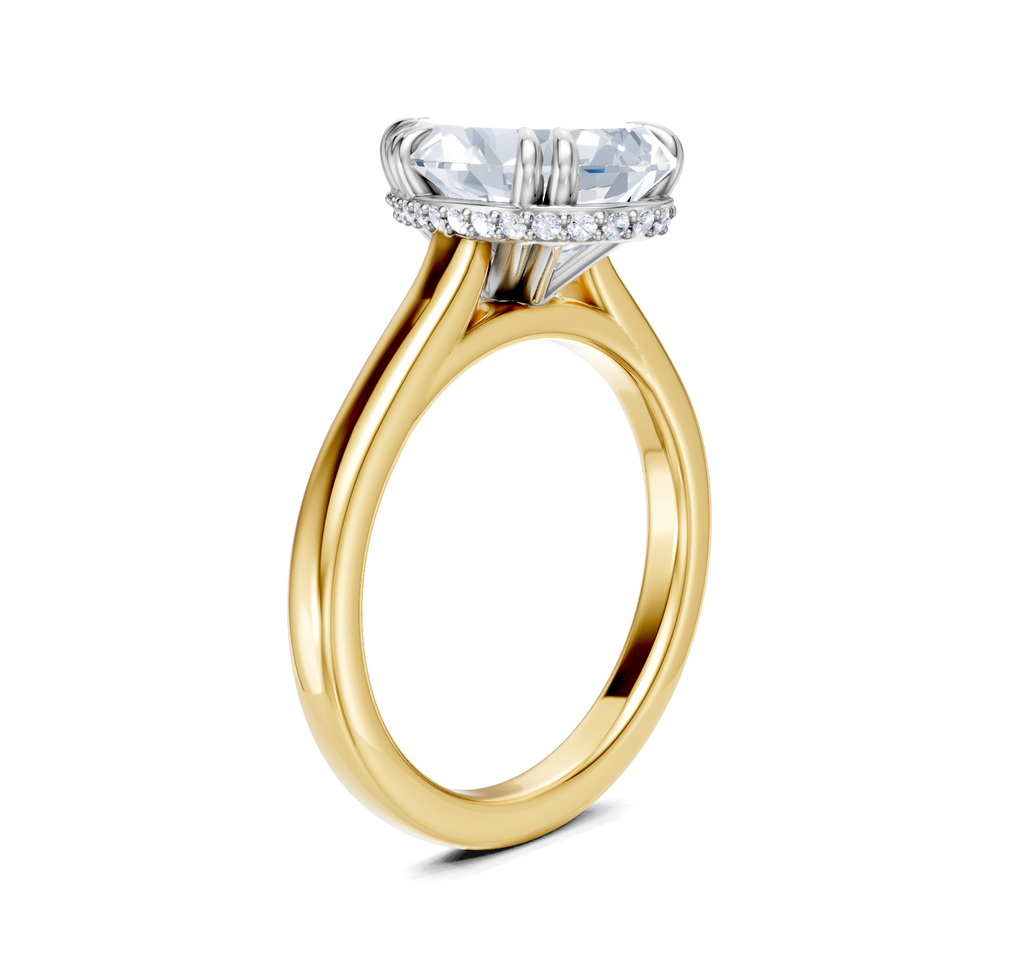 Image for Double Claw Hidden Halo | 14k Two Tone
