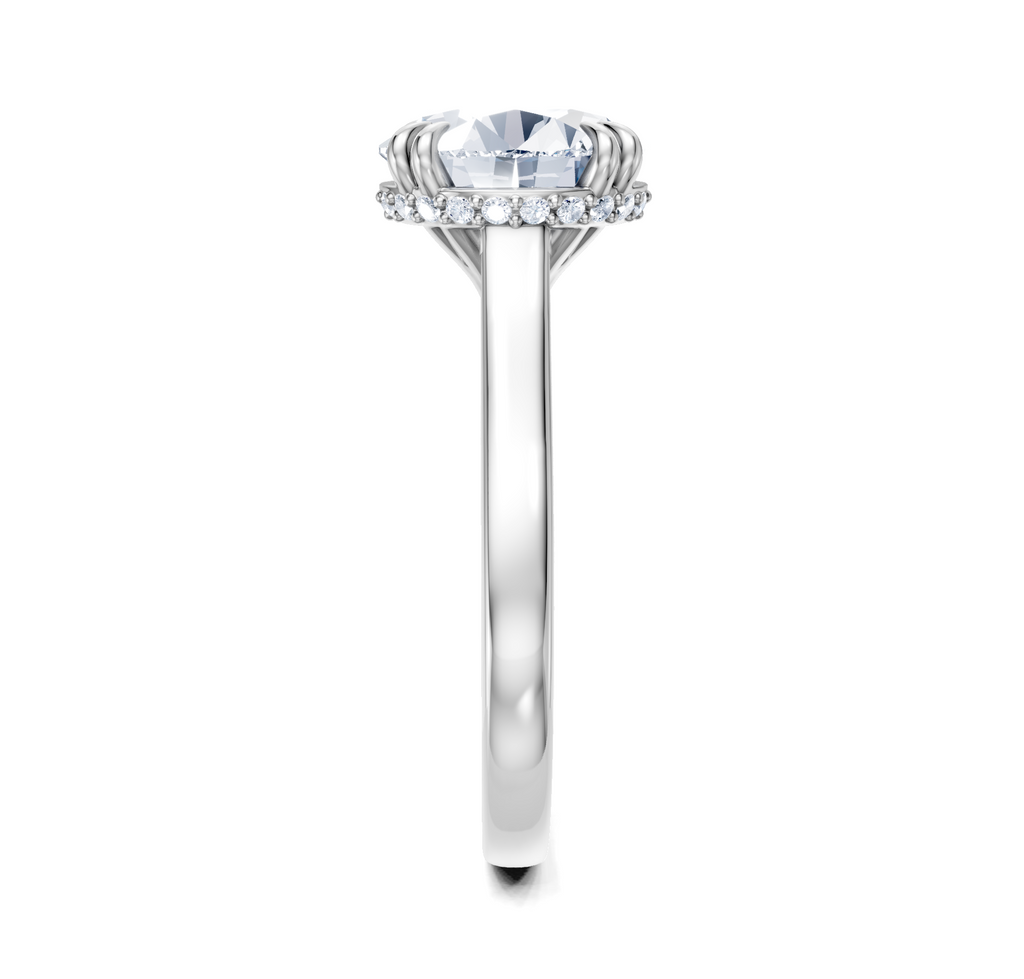 Image for Double Claw Hidden Halo | Platinum