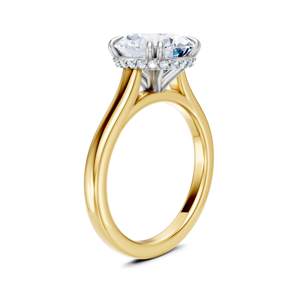 Image for Double Claw Hidden Halo | 18k Two Tone