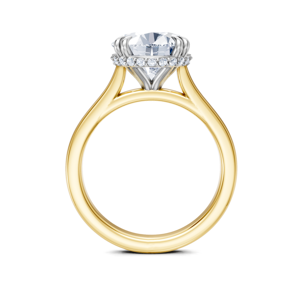 Image for Double Claw Hidden Halo | 18k Two Tone