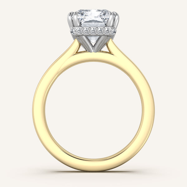 Double Claw Hidden Halo | 18k Two Tone