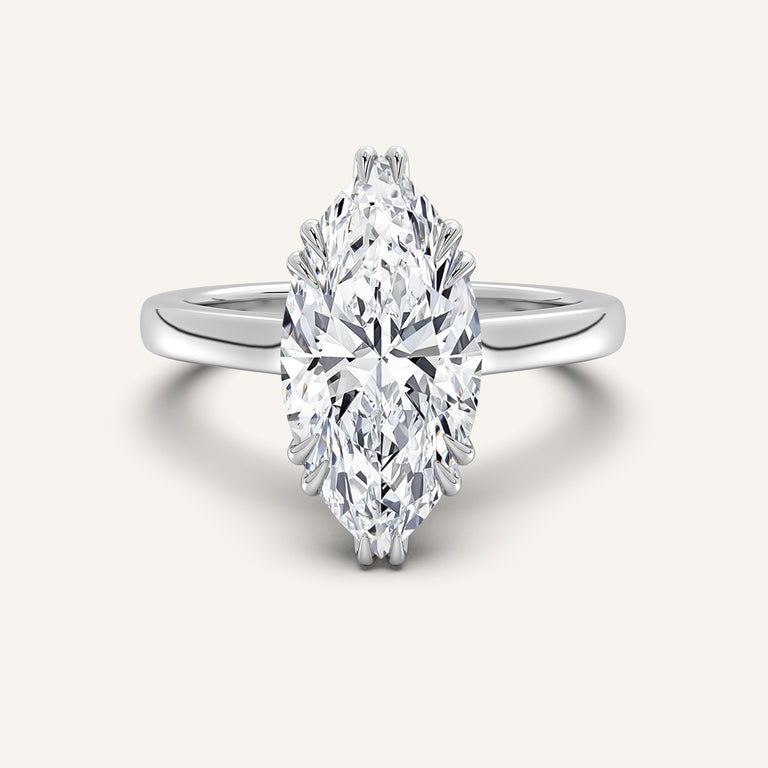 Image for Double Claw Hidden Halo Engagement Ring | Platinum