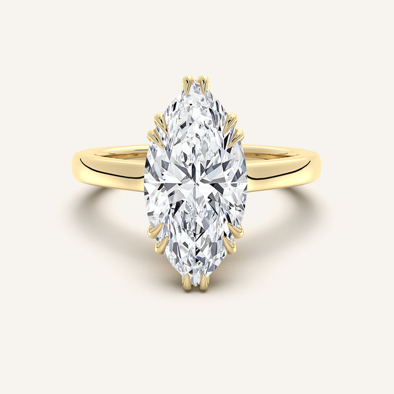 Image for Double Claw Hidden Halo Engagement Ring | 14k Yellow Gold