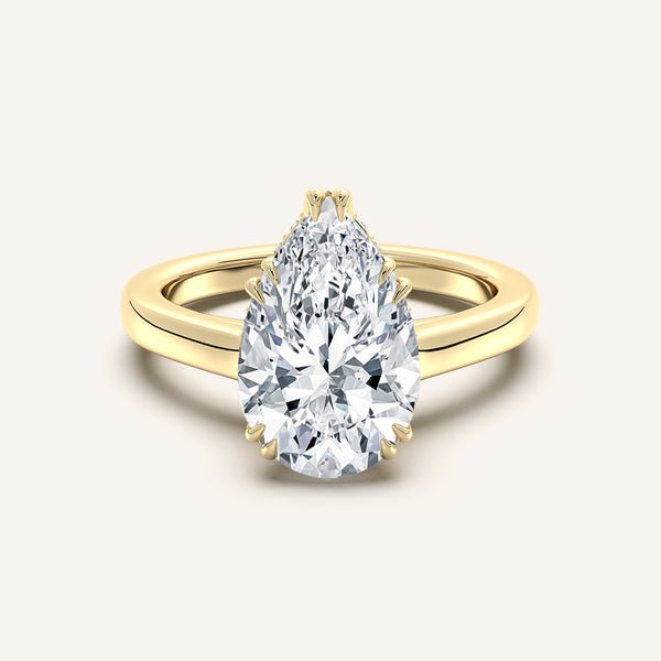 Double Claw Hidden Halo | 14k Yellow Gold