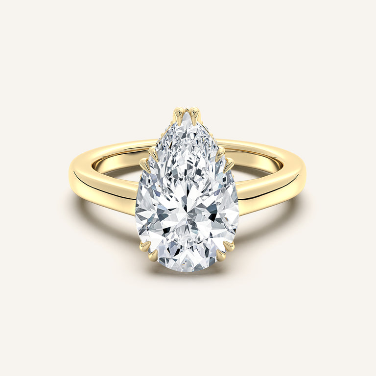 Image for Double Claw Hidden Halo Engagement Ring | 14k Yellow Gold