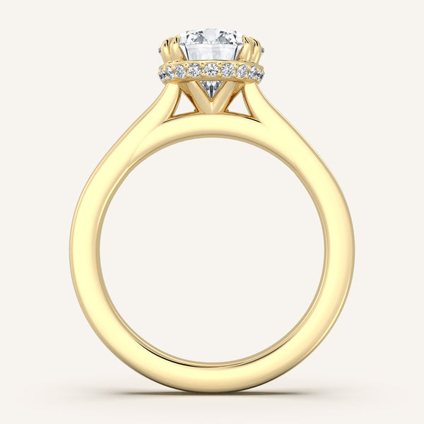 Double Claw Hidden Halo | 14k Yellow Gold