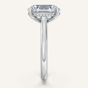Image for Oval Cathedral Hidden Halo Engagement Ring | 14k White Gold