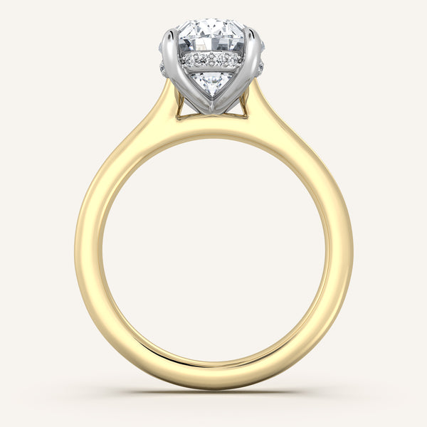 Cathedral Hidden Halo Engagement Ring | 14k Two Tone