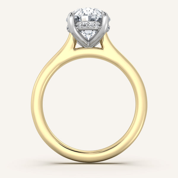 Oval Cathedral Hidden Halo Engagement Ring | 18k Two Tone